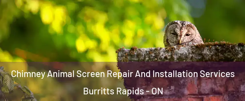  Chimney Animal Screen Repair And Installation Services Burritts Rapids - ON