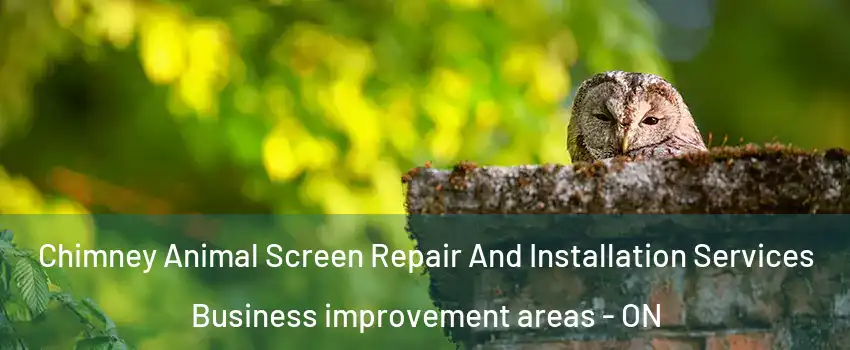  Chimney Animal Screen Repair And Installation Services Business improvement areas - ON