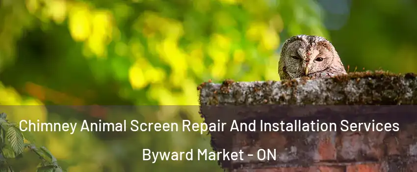  Chimney Animal Screen Repair And Installation Services Byward Market - ON