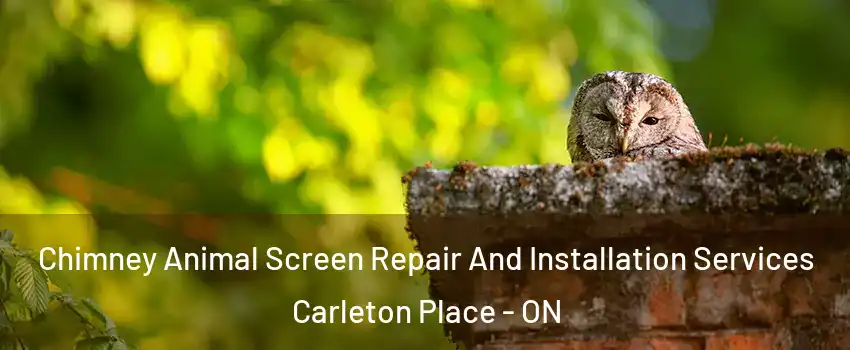  Chimney Animal Screen Repair And Installation Services Carleton Place - ON