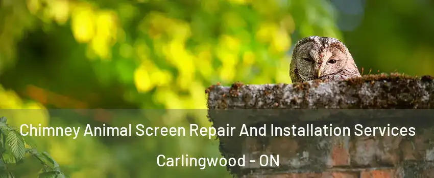  Chimney Animal Screen Repair And Installation Services Carlingwood - ON