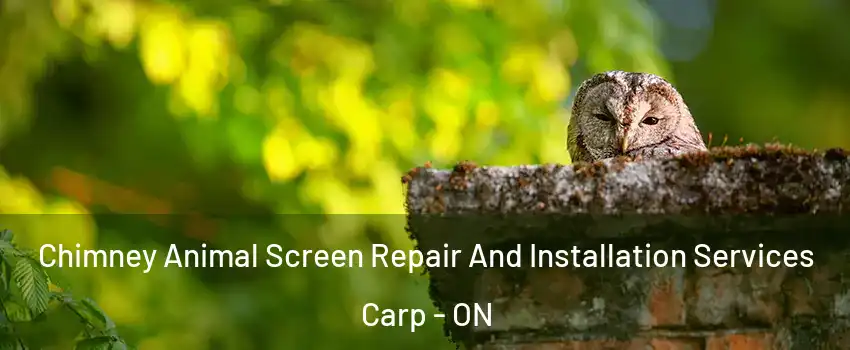  Chimney Animal Screen Repair And Installation Services Carp - ON