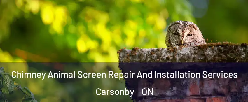  Chimney Animal Screen Repair And Installation Services Carsonby - ON