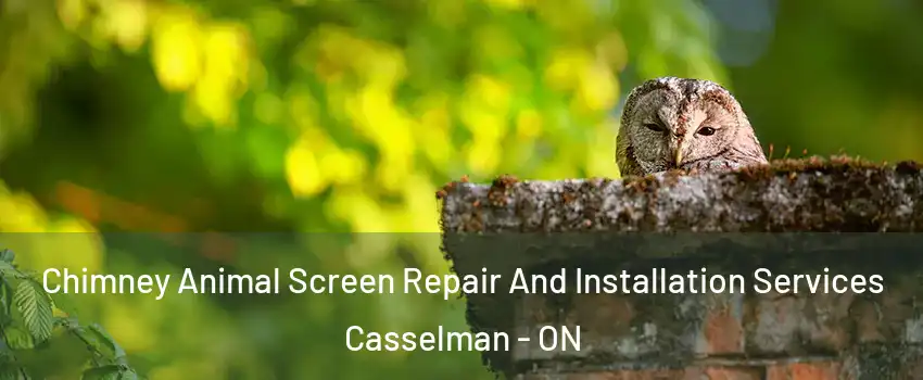  Chimney Animal Screen Repair And Installation Services Casselman - ON