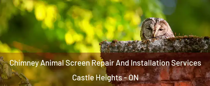  Chimney Animal Screen Repair And Installation Services Castle Heights - ON