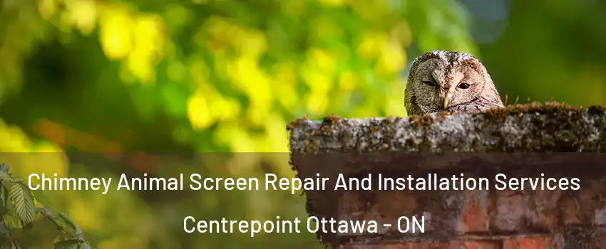  Chimney Animal Screen Repair And Installation Services Centrepoint Ottawa - ON