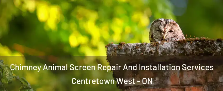  Chimney Animal Screen Repair And Installation Services Centretown West - ON