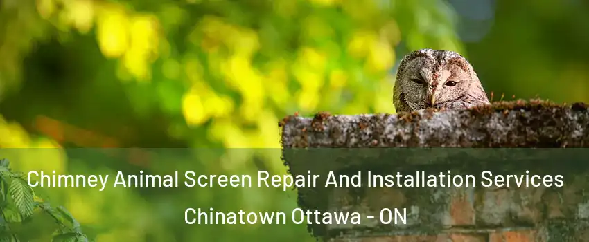  Chimney Animal Screen Repair And Installation Services Chinatown Ottawa - ON