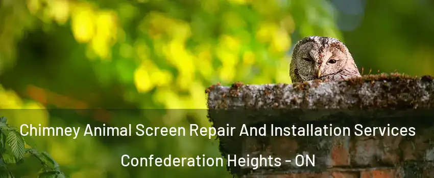  Chimney Animal Screen Repair And Installation Services Confederation Heights - ON