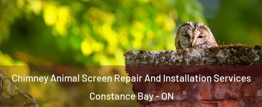  Chimney Animal Screen Repair And Installation Services Constance Bay - ON