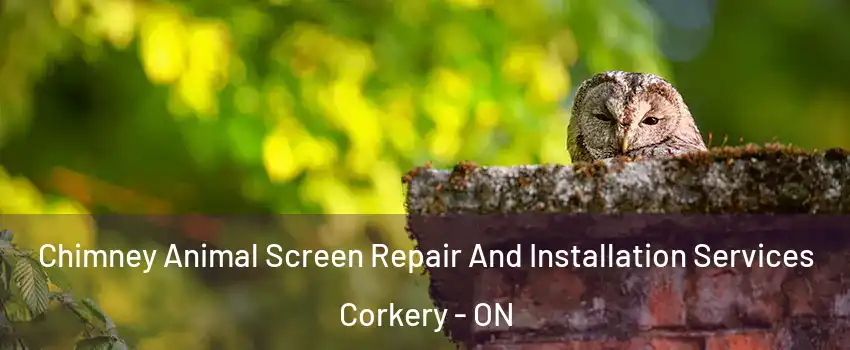  Chimney Animal Screen Repair And Installation Services Corkery - ON