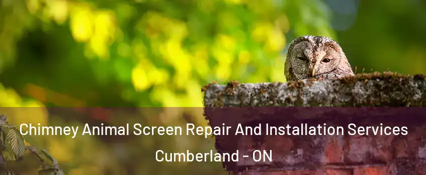  Chimney Animal Screen Repair And Installation Services Cumberland - ON