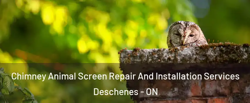  Chimney Animal Screen Repair And Installation Services Deschenes - ON