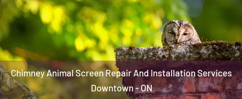  Chimney Animal Screen Repair And Installation Services Downtown - ON