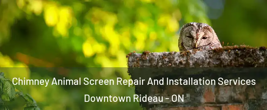  Chimney Animal Screen Repair And Installation Services Downtown Rideau - ON