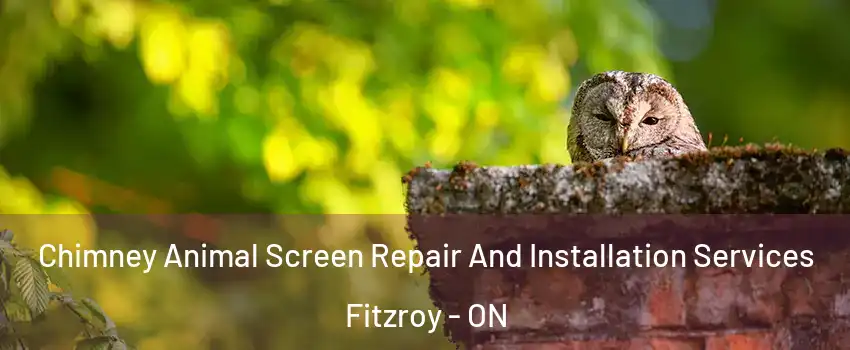  Chimney Animal Screen Repair And Installation Services Fitzroy - ON