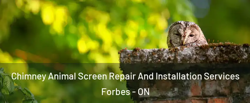  Chimney Animal Screen Repair And Installation Services Forbes - ON