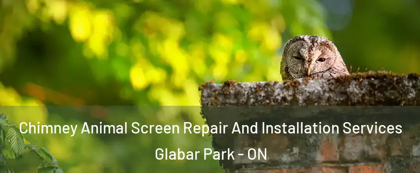  Chimney Animal Screen Repair And Installation Services Glabar Park - ON