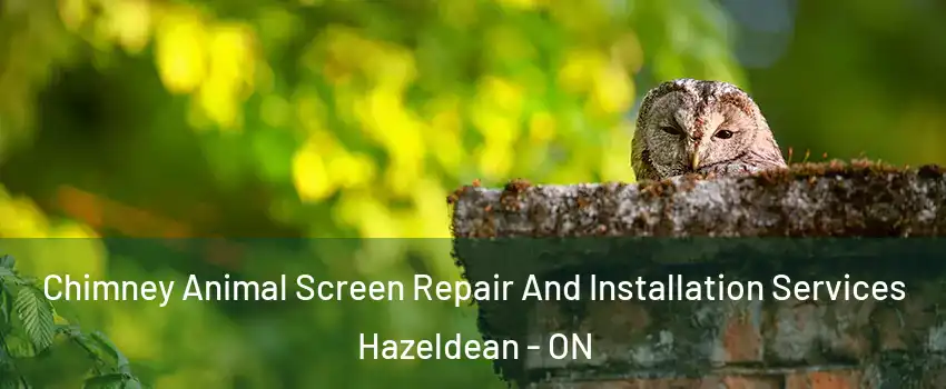  Chimney Animal Screen Repair And Installation Services Hazeldean - ON