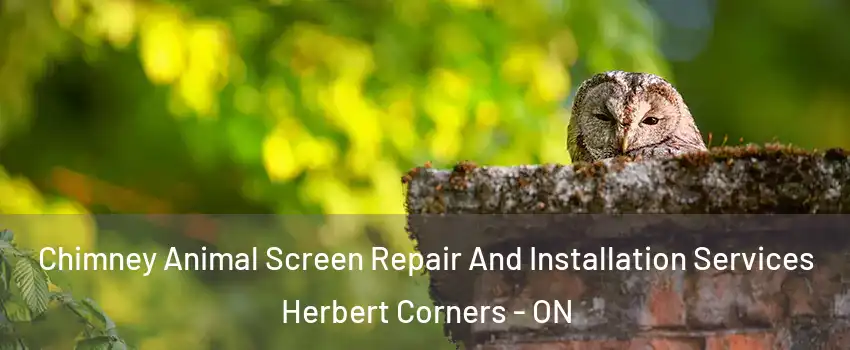  Chimney Animal Screen Repair And Installation Services Herbert Corners - ON