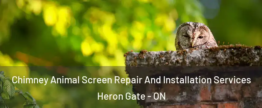  Chimney Animal Screen Repair And Installation Services Heron Gate - ON