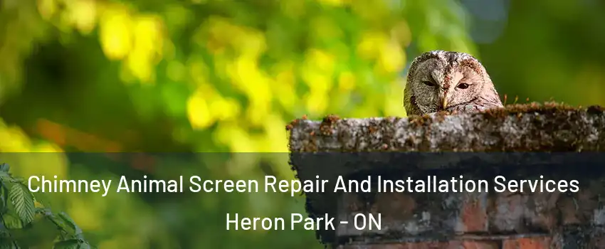  Chimney Animal Screen Repair And Installation Services Heron Park - ON