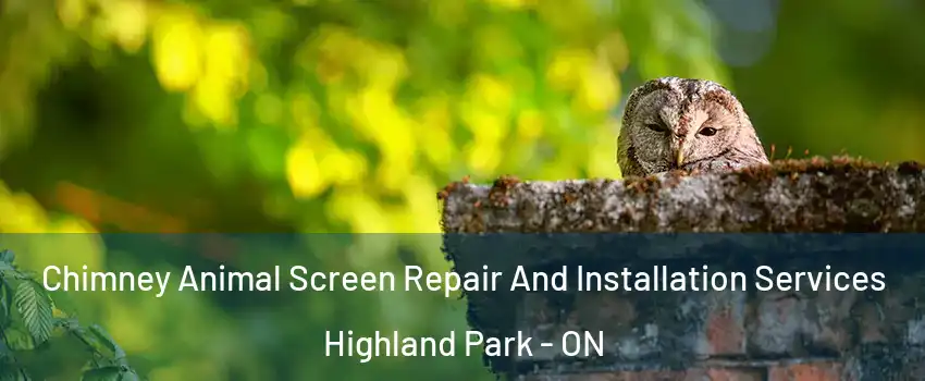  Chimney Animal Screen Repair And Installation Services Highland Park - ON