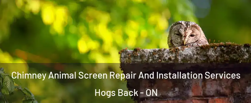  Chimney Animal Screen Repair And Installation Services Hogs Back - ON