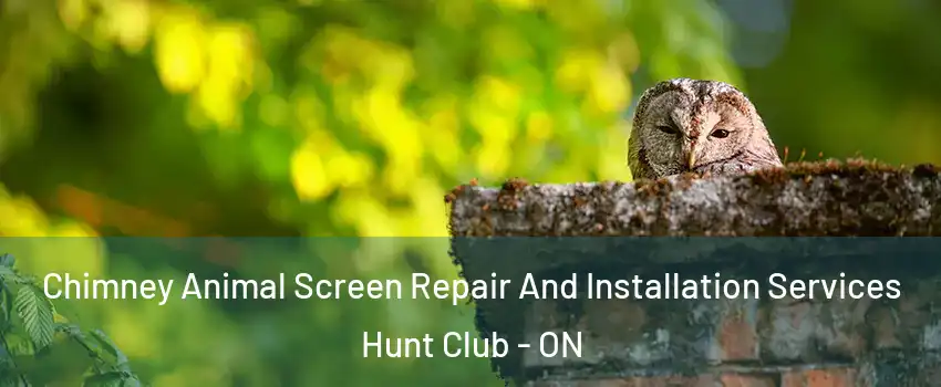  Chimney Animal Screen Repair And Installation Services Hunt Club - ON