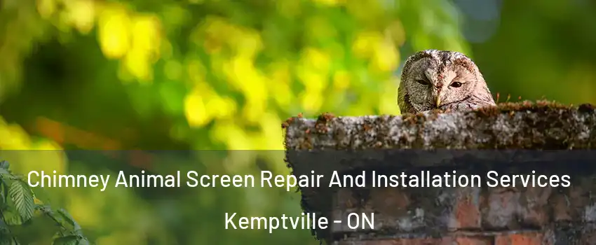  Chimney Animal Screen Repair And Installation Services Kemptville - ON