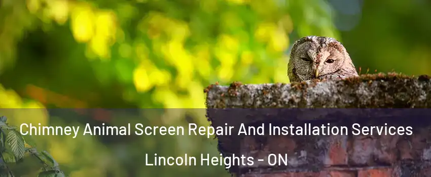  Chimney Animal Screen Repair And Installation Services Lincoln Heights - ON