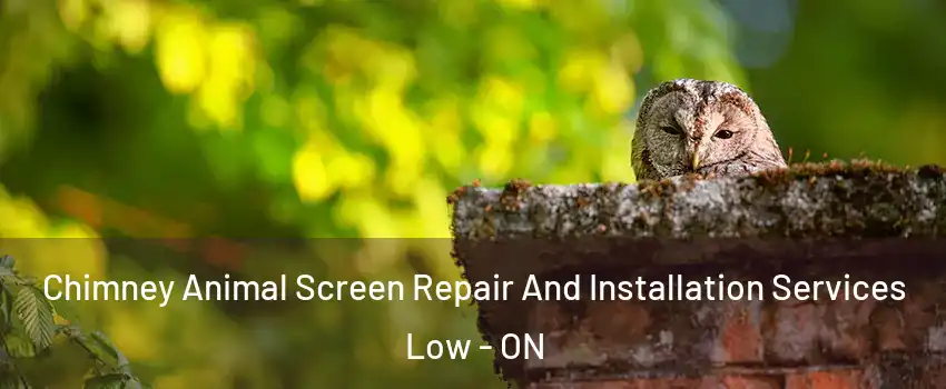  Chimney Animal Screen Repair And Installation Services Low - ON