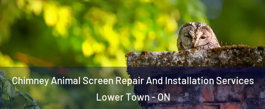  Chimney Animal Screen Repair And Installation Services Lower Town - ON