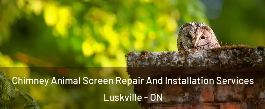  Chimney Animal Screen Repair And Installation Services Luskville - ON