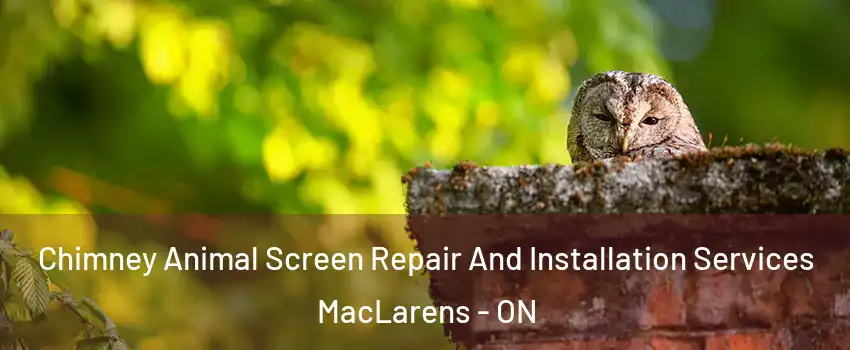  Chimney Animal Screen Repair And Installation Services MacLarens - ON