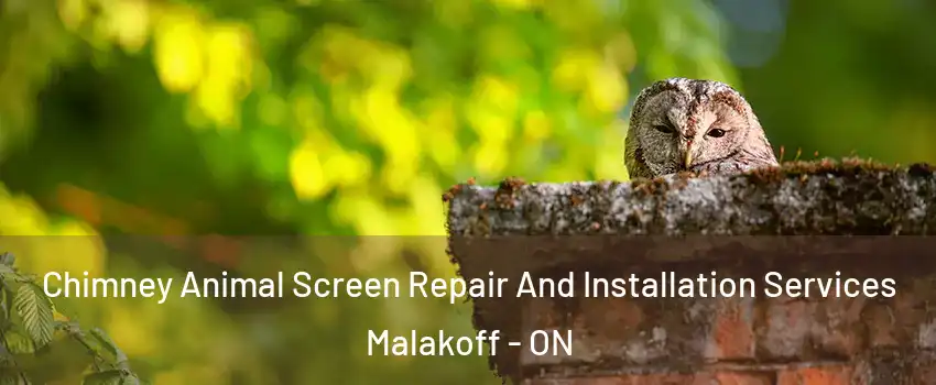  Chimney Animal Screen Repair And Installation Services Malakoff - ON