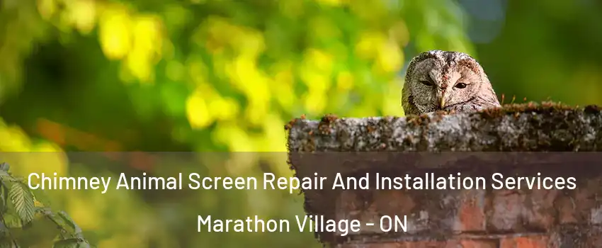  Chimney Animal Screen Repair And Installation Services Marathon Village - ON