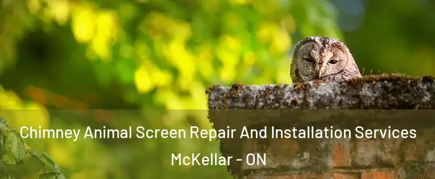  Chimney Animal Screen Repair And Installation Services McKellar - ON