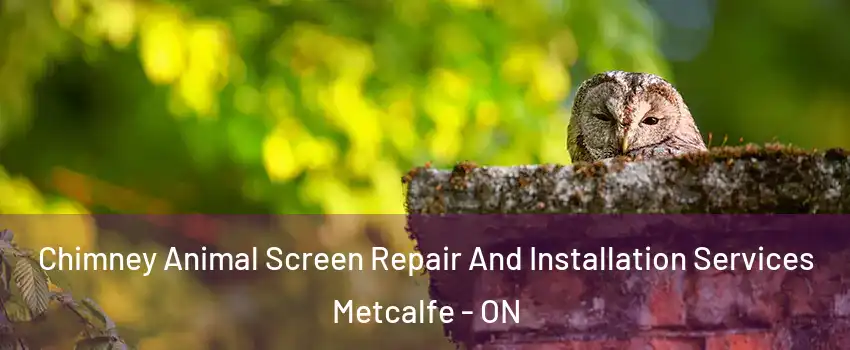  Chimney Animal Screen Repair And Installation Services Metcalfe - ON