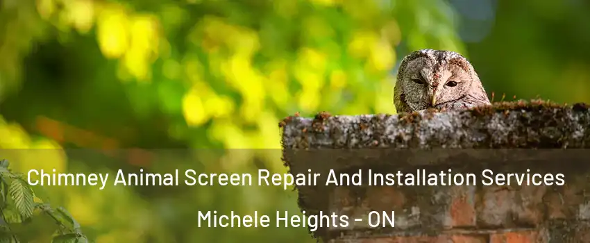  Chimney Animal Screen Repair And Installation Services Michele Heights - ON