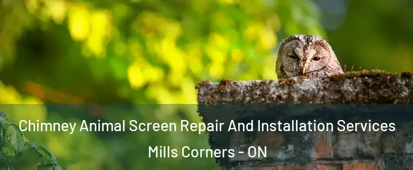  Chimney Animal Screen Repair And Installation Services Mills Corners - ON