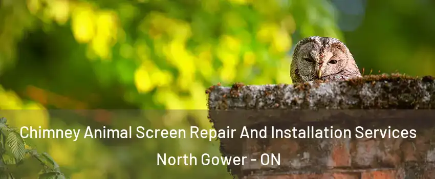  Chimney Animal Screen Repair And Installation Services North Gower - ON