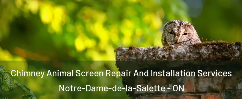  Chimney Animal Screen Repair And Installation Services Notre-Dame-de-la-Salette - ON