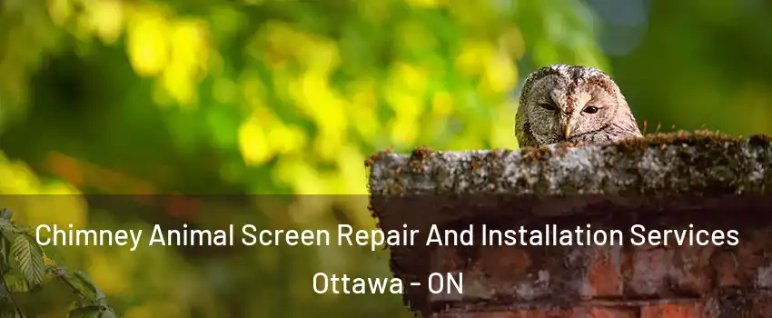  Chimney Animal Screen Repair And Installation Services Ottawa - ON