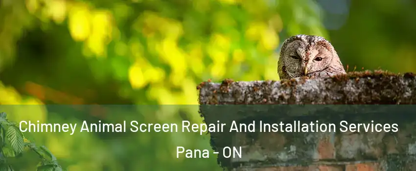  Chimney Animal Screen Repair And Installation Services Pana - ON