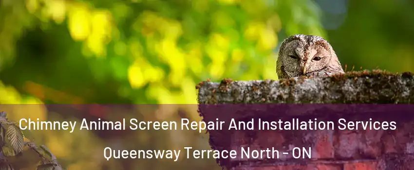  Chimney Animal Screen Repair And Installation Services Queensway Terrace North - ON