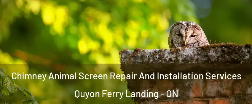  Chimney Animal Screen Repair And Installation Services Quyon Ferry Landing - ON