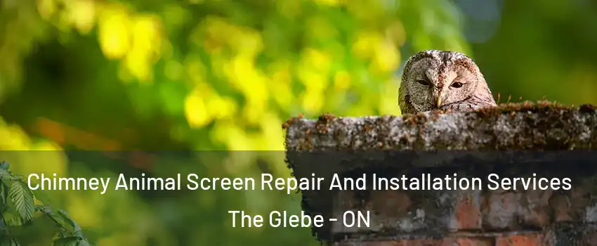  Chimney Animal Screen Repair And Installation Services The Glebe - ON