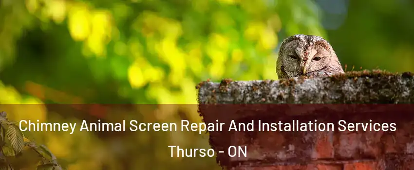  Chimney Animal Screen Repair And Installation Services Thurso - ON