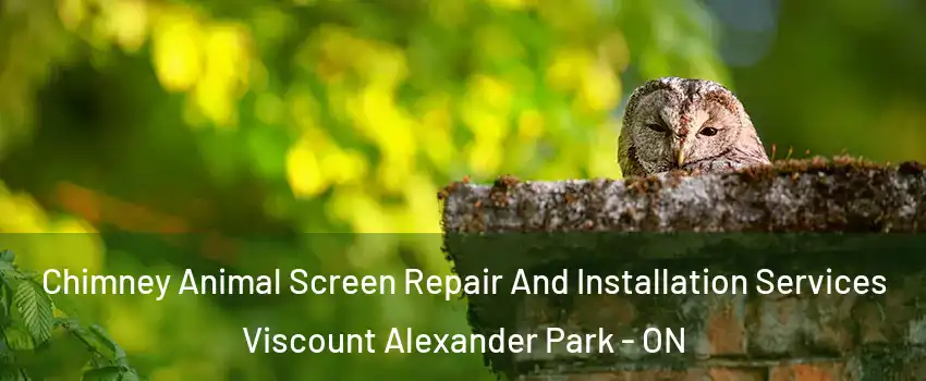  Chimney Animal Screen Repair And Installation Services Viscount Alexander Park - ON